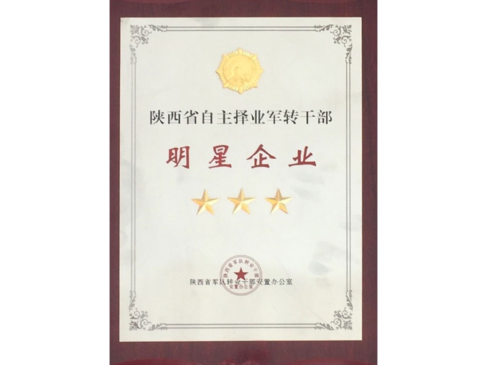 明星企业证书